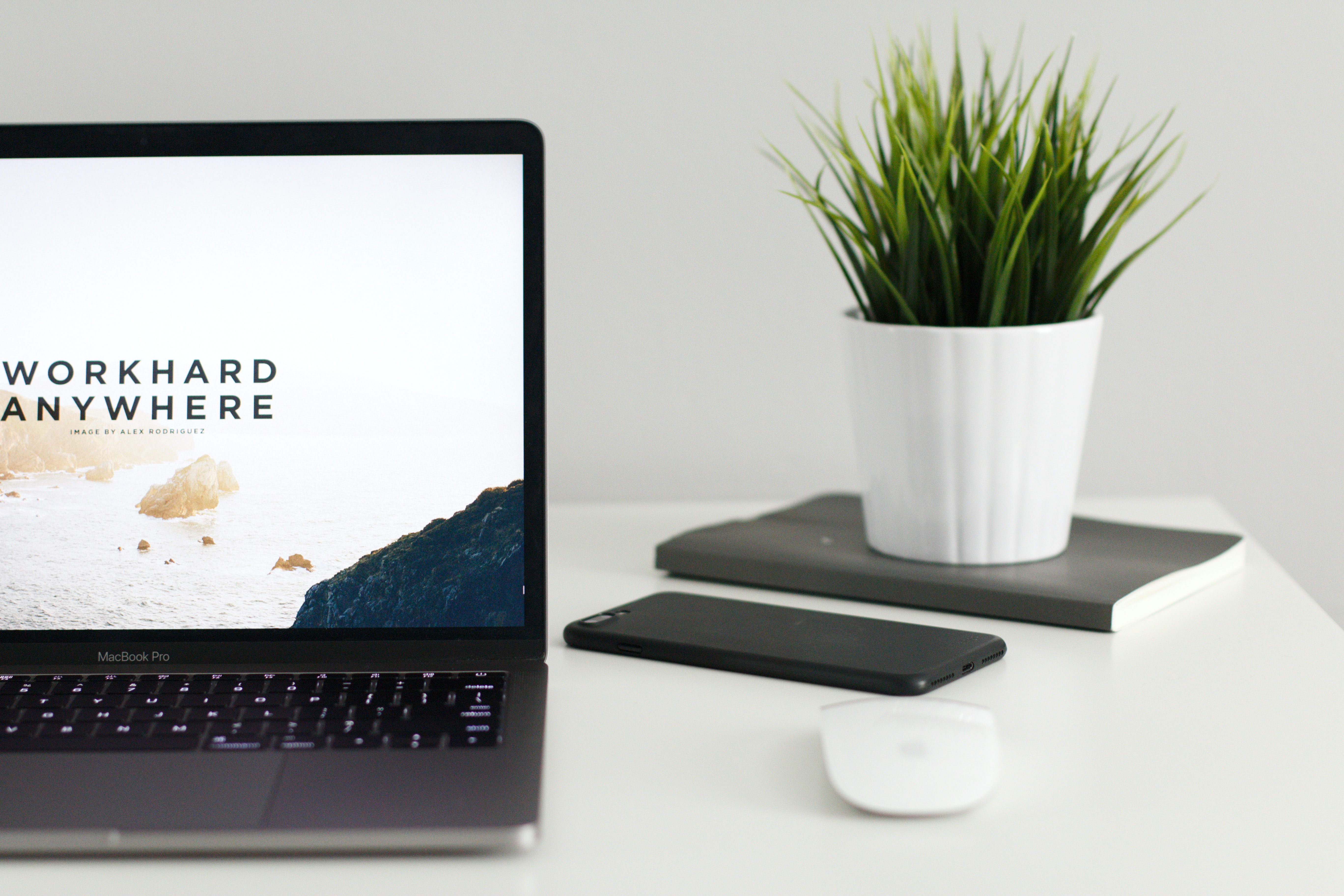 Image of a computer and a plant