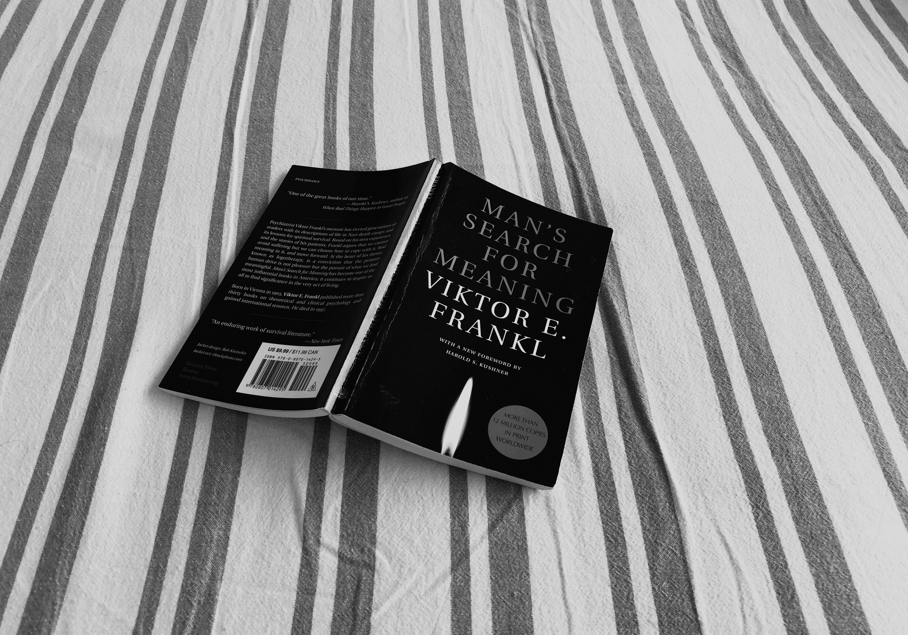 Image of the book man in search of meaning